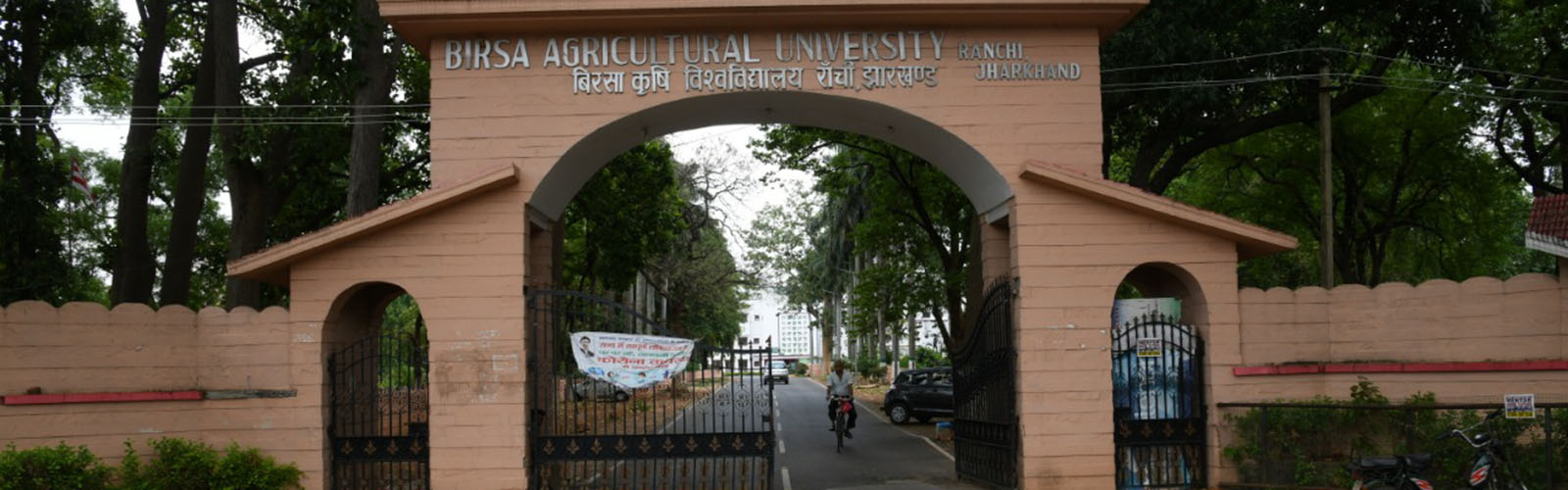 Ph.D. From Birsa Agricultural University : Introduction, Fee Structure, Admission Process, Documents, Syllabus, Research Methodology, University Highlights, Scholarship, FAQs